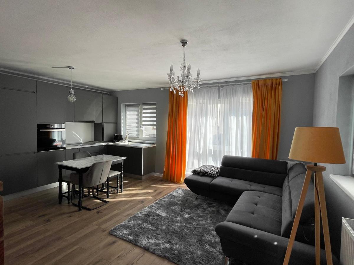 Tiberiu Ricci Apartament Sibiu Extérieur photo